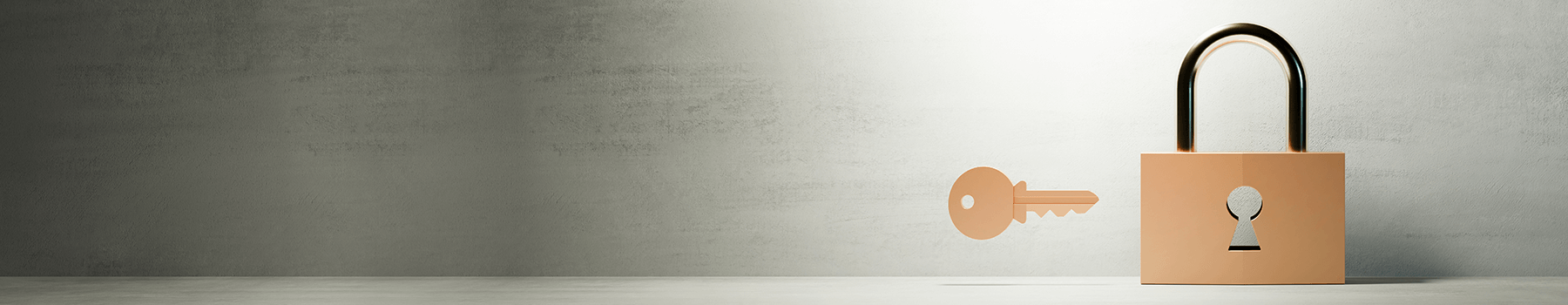 サブビジュアル